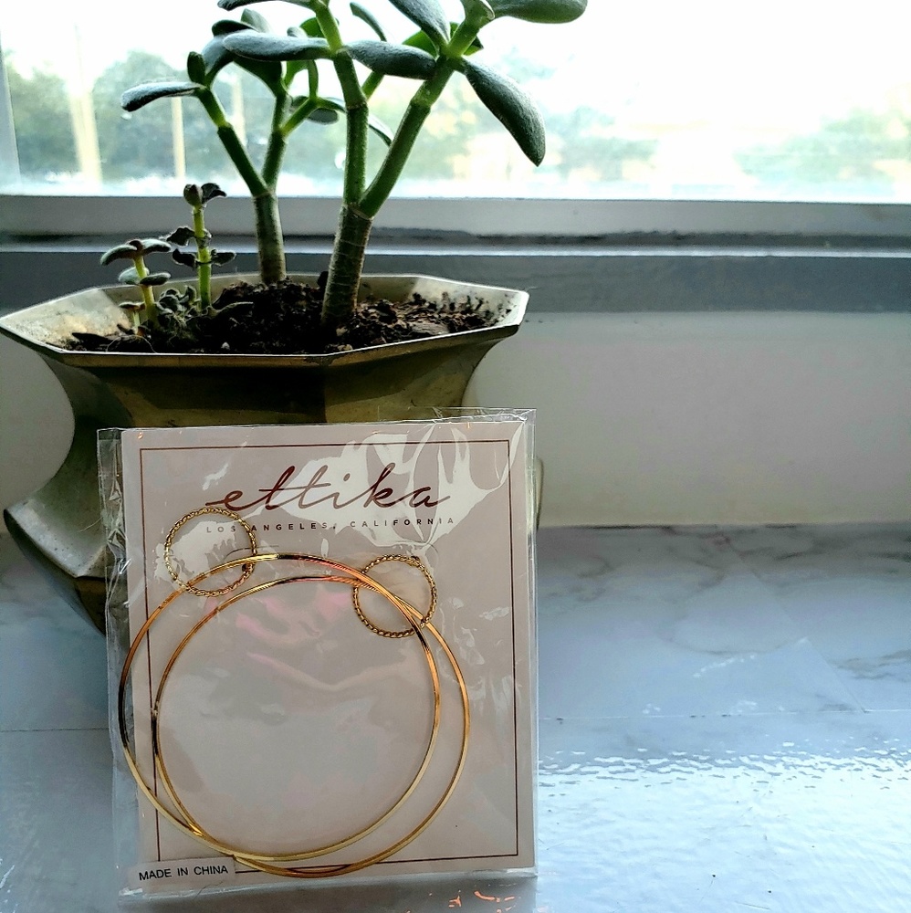 NWT Ettika Hold Double Hoop Earrings
